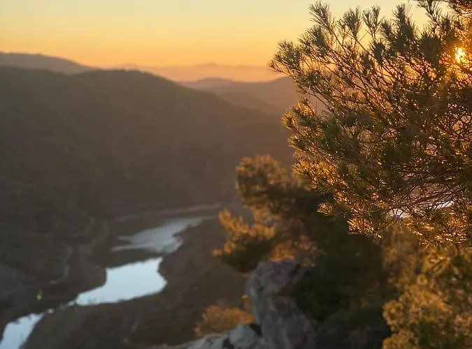 Chenin Blanc-priorat- * كورنووديلا