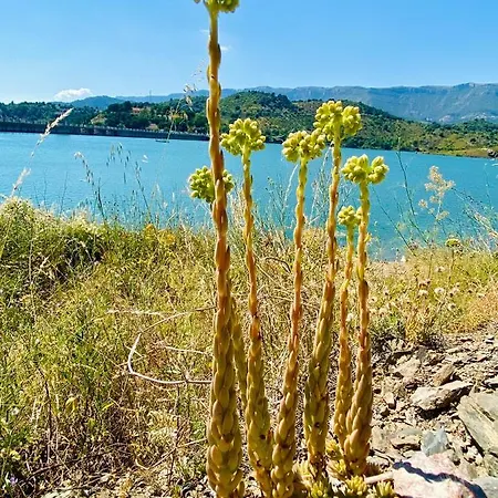 Appartamento Chenin Blanc-priorat-