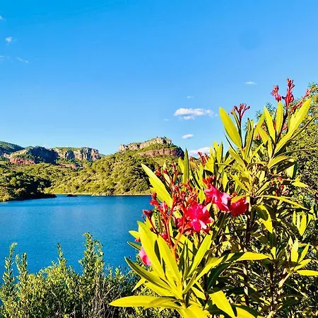 Chenin Blanc-priorat- *